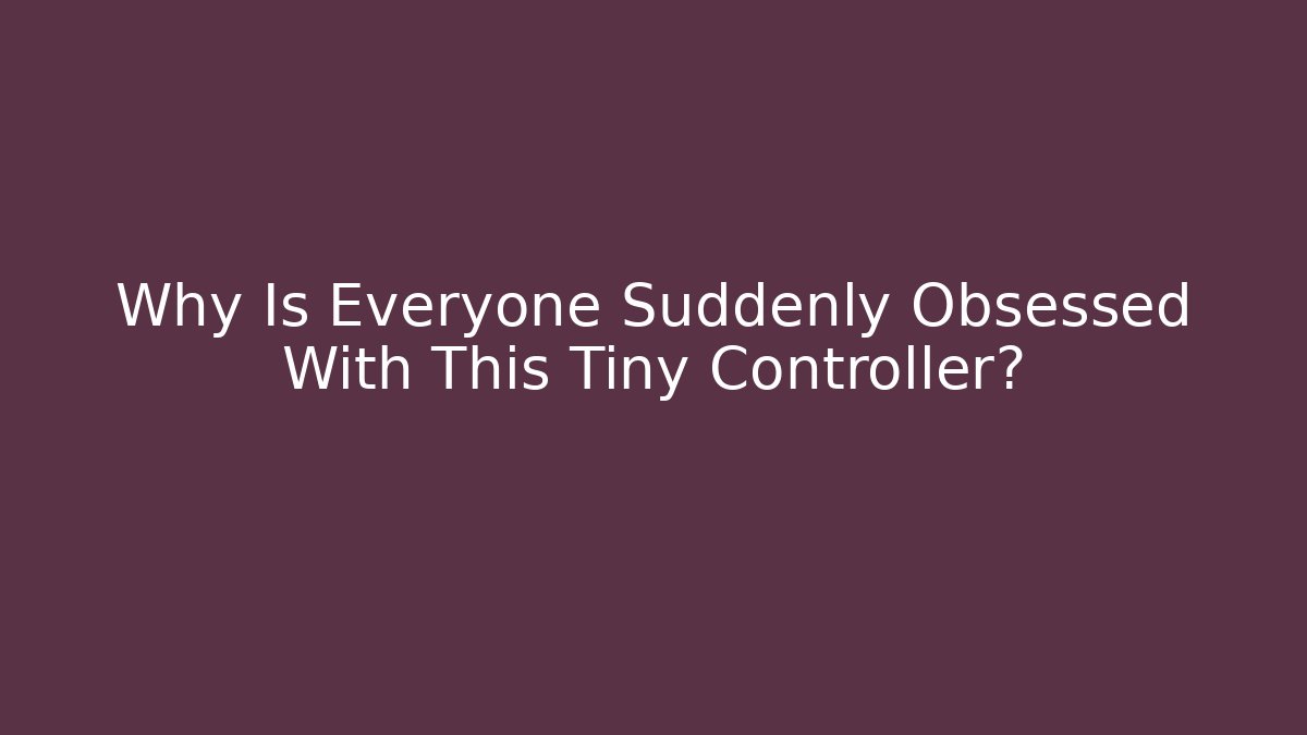 Why Is Everyone Suddenly Obsessed With This Tiny Controller?