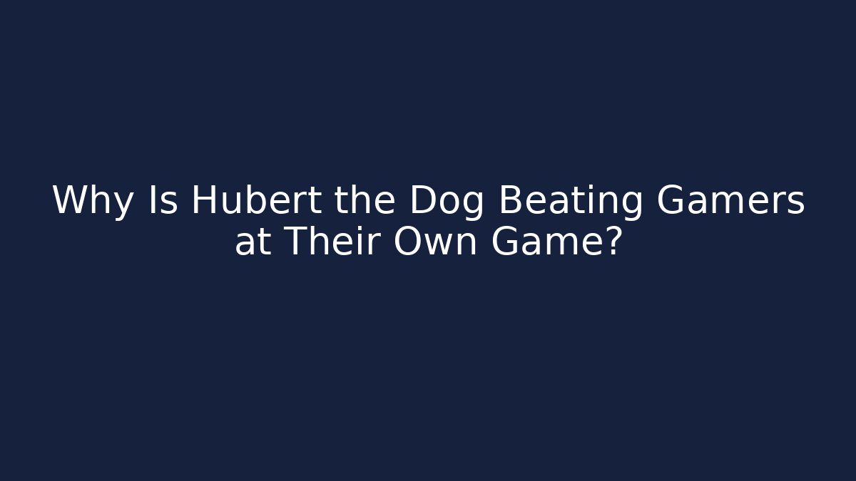 Why Is Hubert the Dog Beating Gamers at Their Own Game?