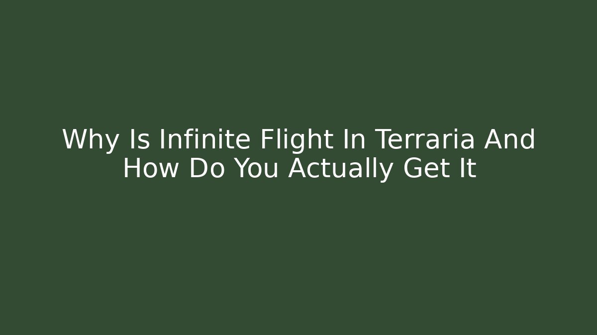 Why Is Infinite Flight In Terraria And How Do You Actually Get It