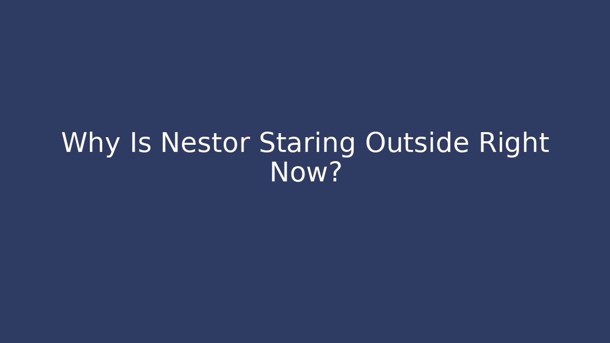 Why Is Nestor Staring Outside Right Now?