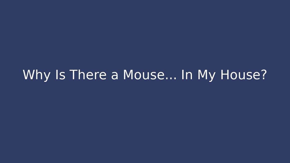 Why Is There a Mouse... In My House?