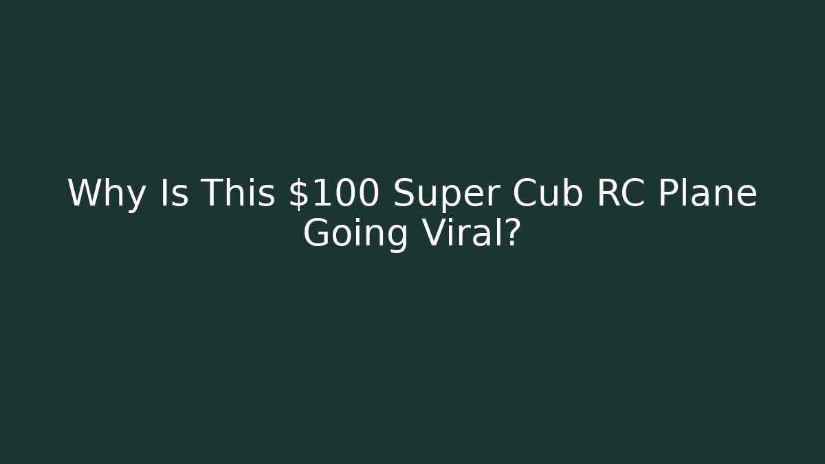 Why Is This $100 Super Cub RC Plane Going Viral?