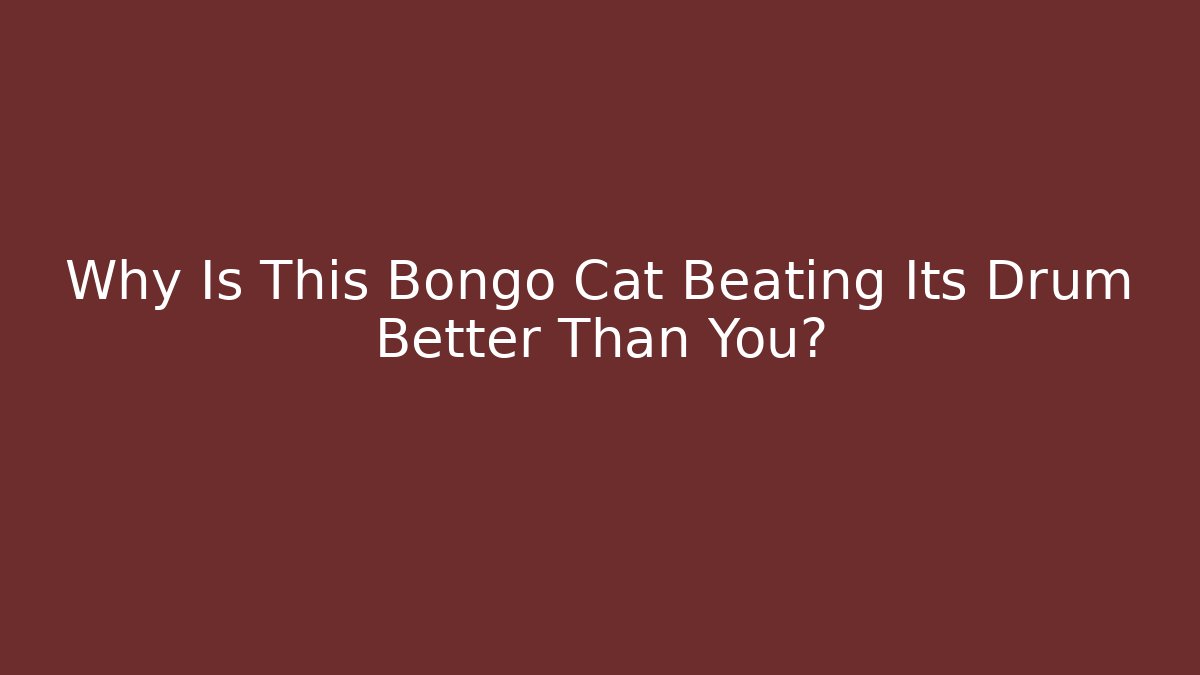 Why Is This Bongo Cat Beating Its Drum Better Than You?