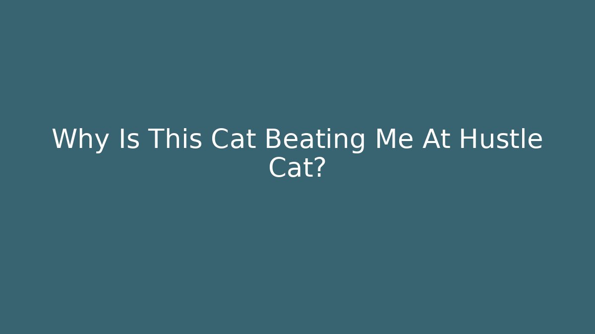 Why Is This Cat Beating Me At Hustle Cat?