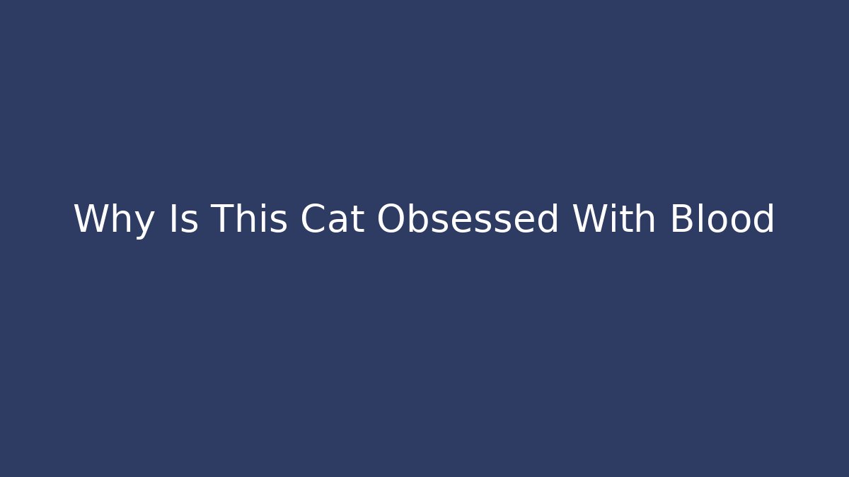 Why Is This Cat Obsessed With Blood