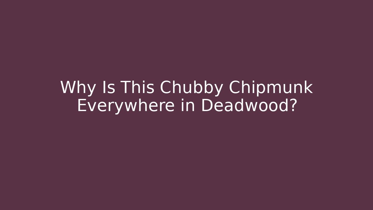 Why Is This Chubby Chipmunk Everywhere in Deadwood? - Felix Cat Insurance