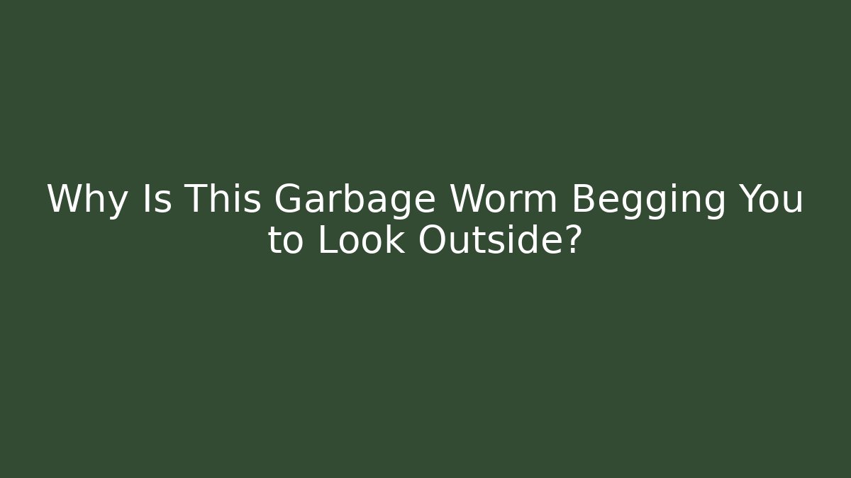 Why Is This Garbage Worm Begging You to Look Outside?