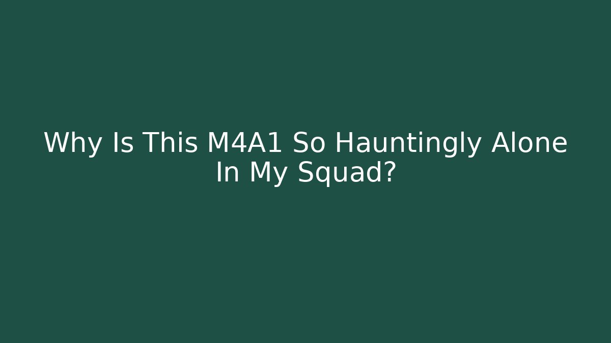 Why Is This M4A1 So Hauntingly Alone In My Squad? - Felix Cat Insurance