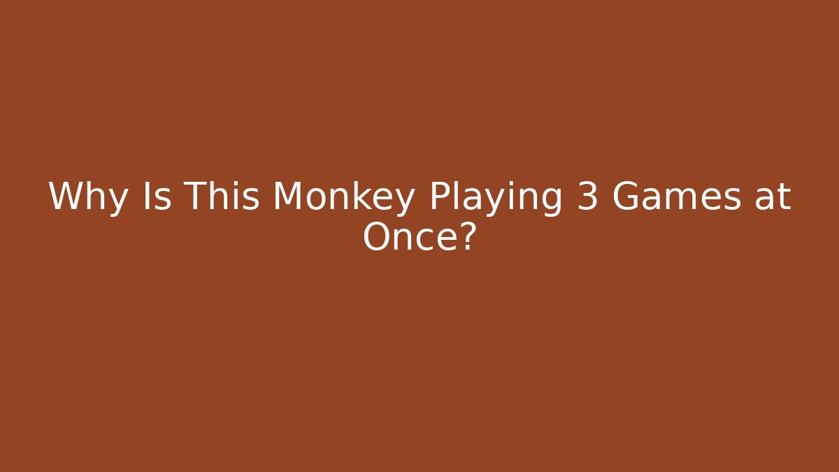 Why Is This Monkey Playing 3 Games at Once?