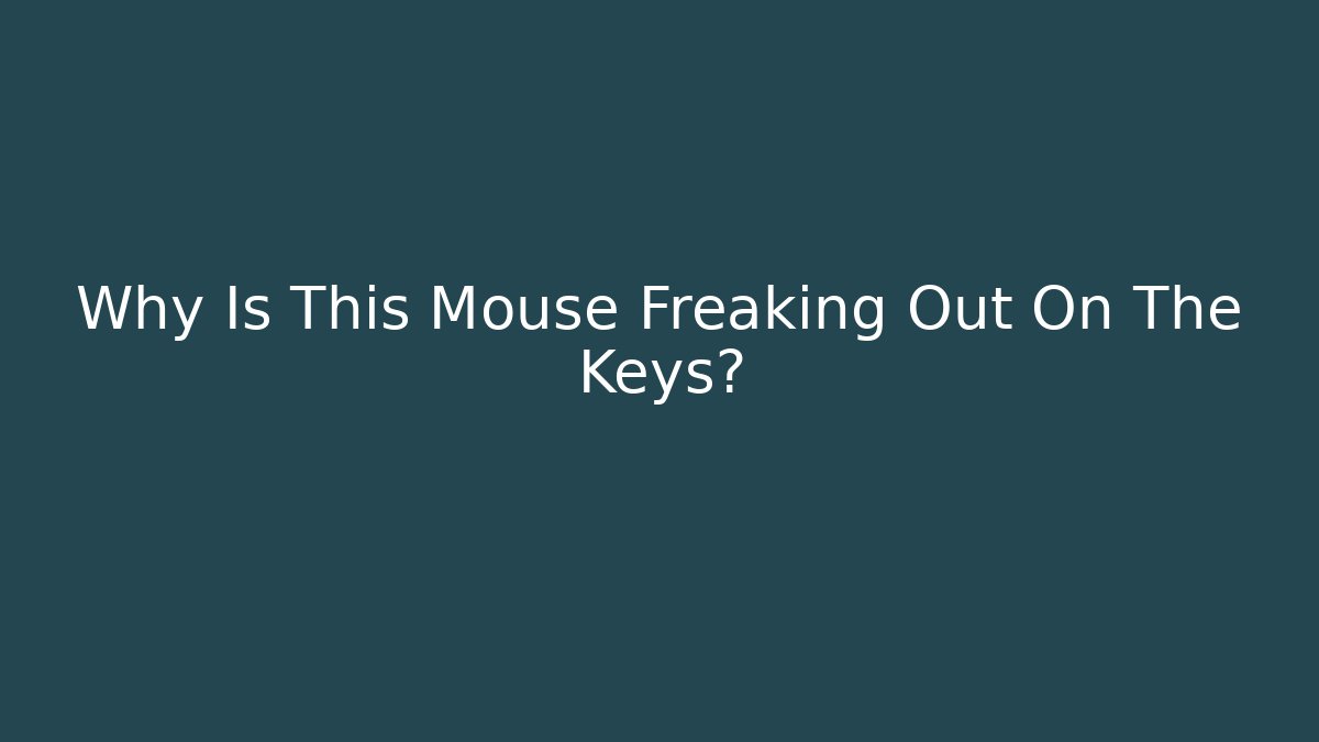 Why Is This Mouse Freaking Out On The Keys?