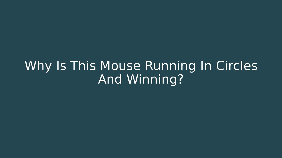 Why Is This Mouse Running In Circles And Winning?