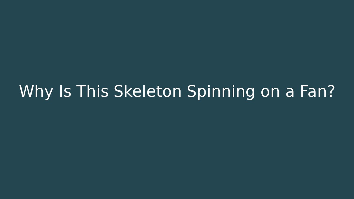 Why Is This Skeleton Spinning on a Fan?