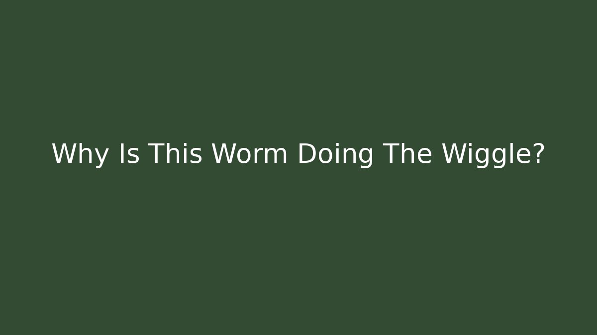 Why Is This Worm Doing The Wiggle?