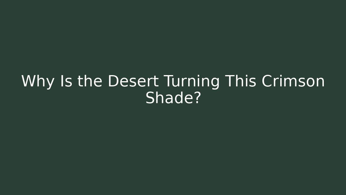 Why Is the Desert Turning This Crimson Shade?