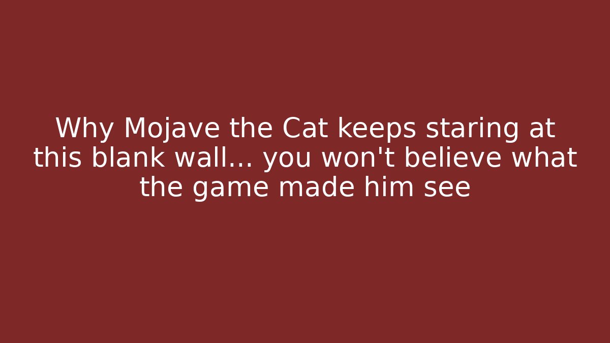 Why Mojave the Cat keeps staring at this blank wall... you won't believe what the game made him see
