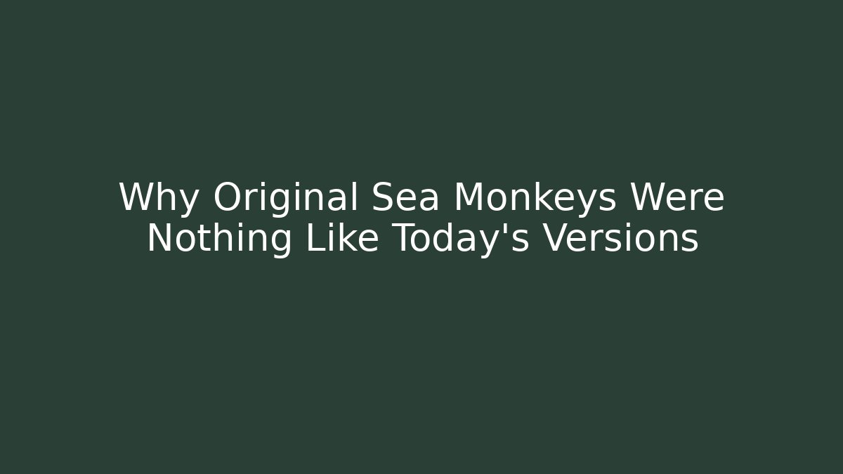 Why Original Sea Monkeys Were Nothing Like Today's Versions