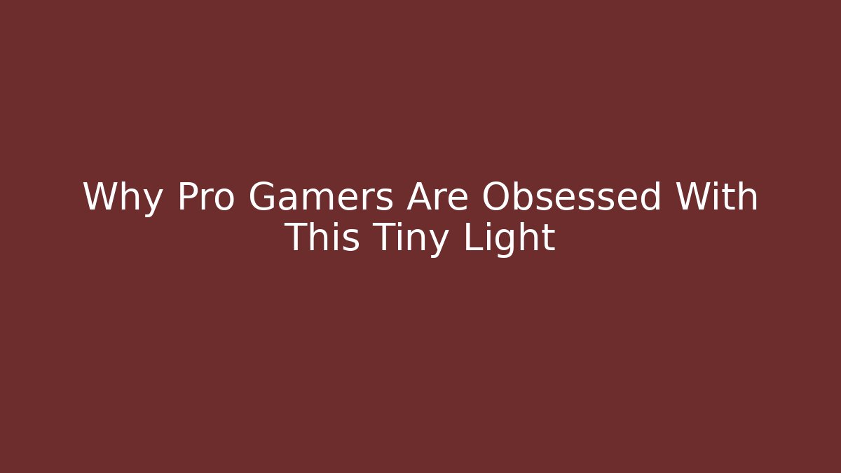 Why Pro Gamers Are Obsessed With This Tiny Light - Felix Cat Insurance