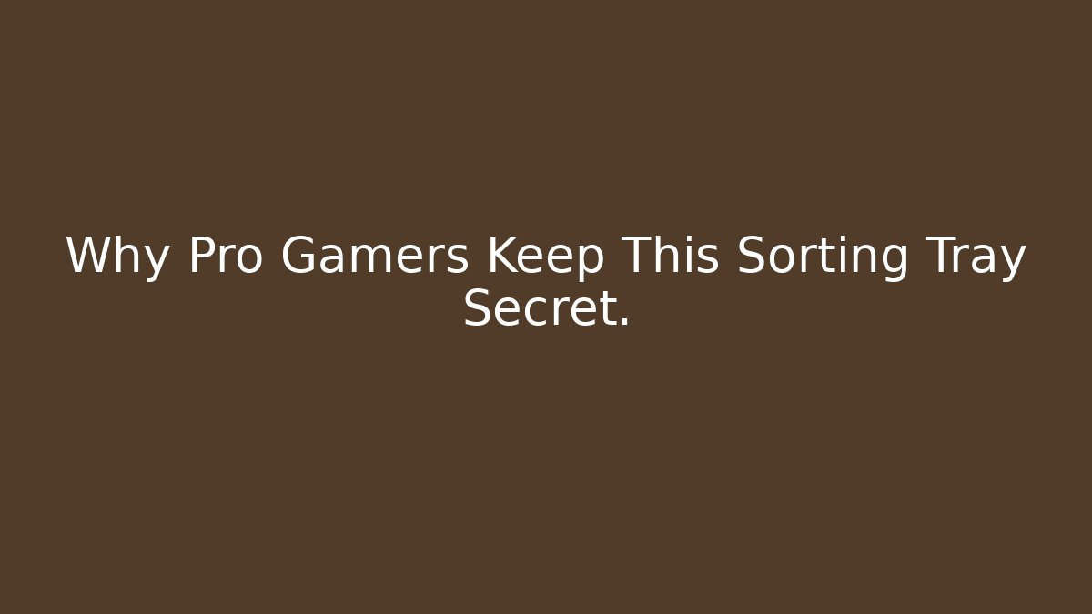 Why Pro Gamers Keep This Sorting Tray Secret.