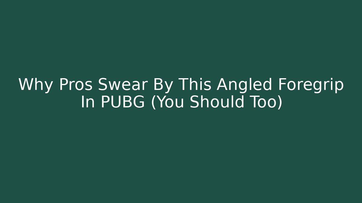 Why Pros Swear By This Angled Foregrip In PUBG (You Should Too) - Felix Cat Insurance