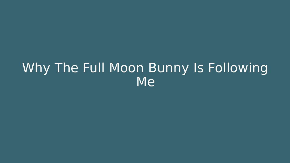 Why The Full Moon Bunny Is Following Me