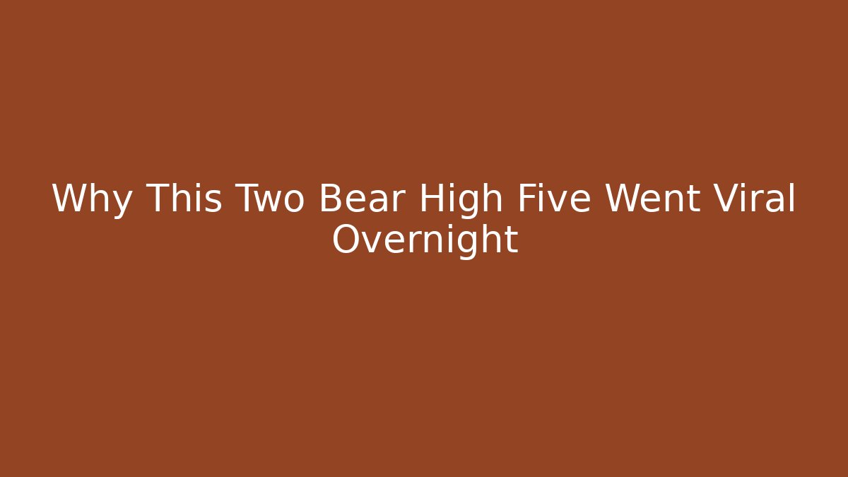 Why This Two Bear High Five Went Viral Overnight