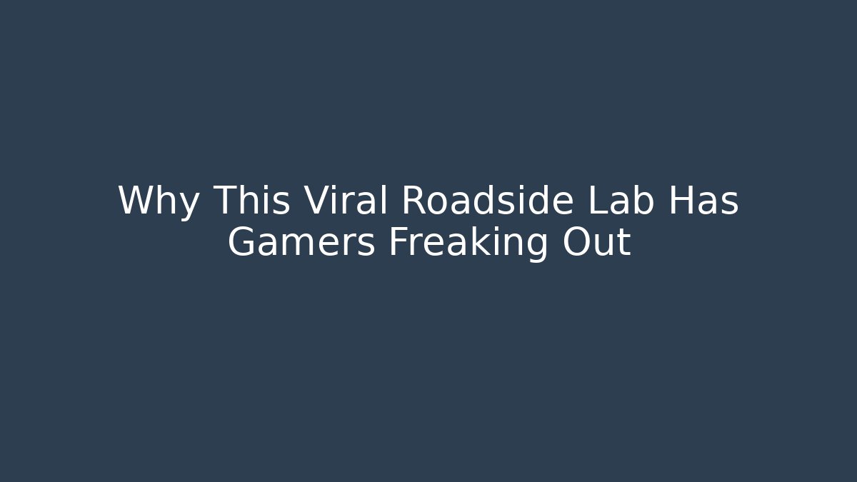 Why This Viral Roadside Lab Has Gamers Freaking Out