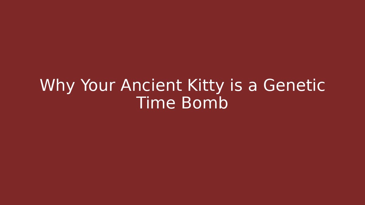Why Your Ancient Kitty is a Genetic Time Bomb - Felix Cat Insurance