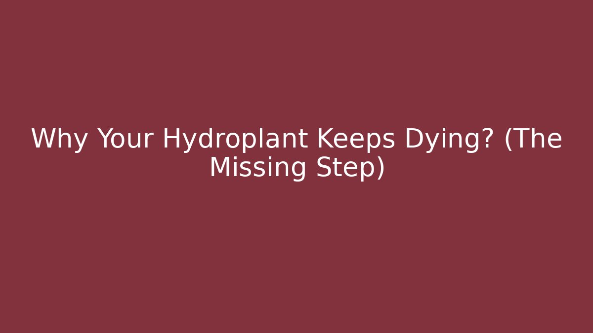 Why Your Hydroplant Keeps Dying? (The Missing Step)