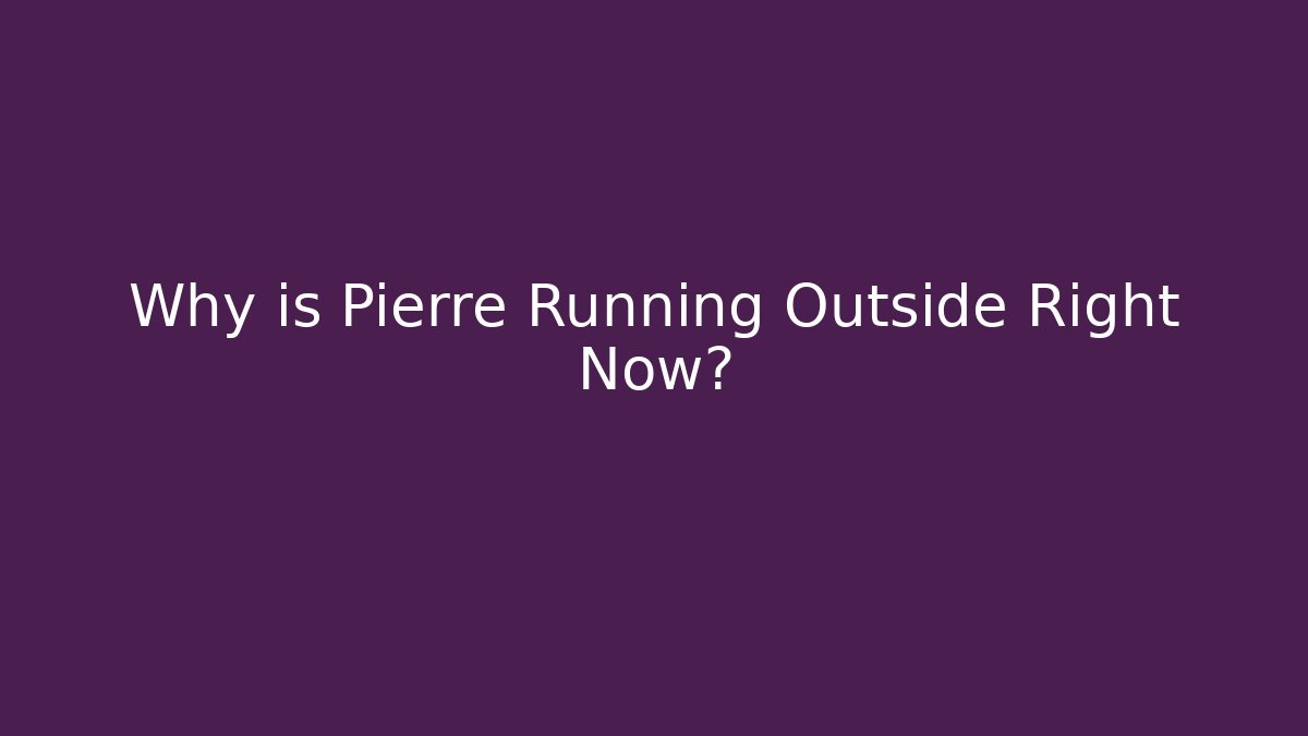 Why is Pierre Running Outside Right Now? - Felix Cat Insurance
