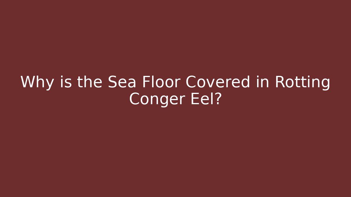 Why is the Sea Floor Covered in Rotting Conger Eel?