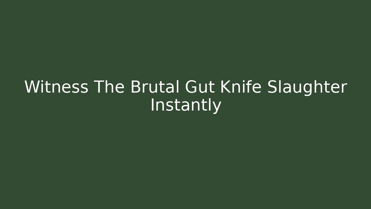 Witness The Brutal Gut Knife Slaughter Instantly