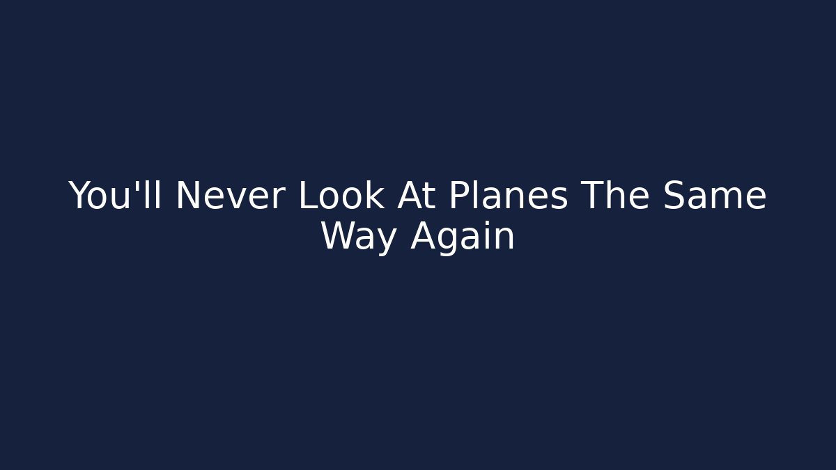 You'll Never Look At Planes The Same Way Again - Felix Cat Insurance