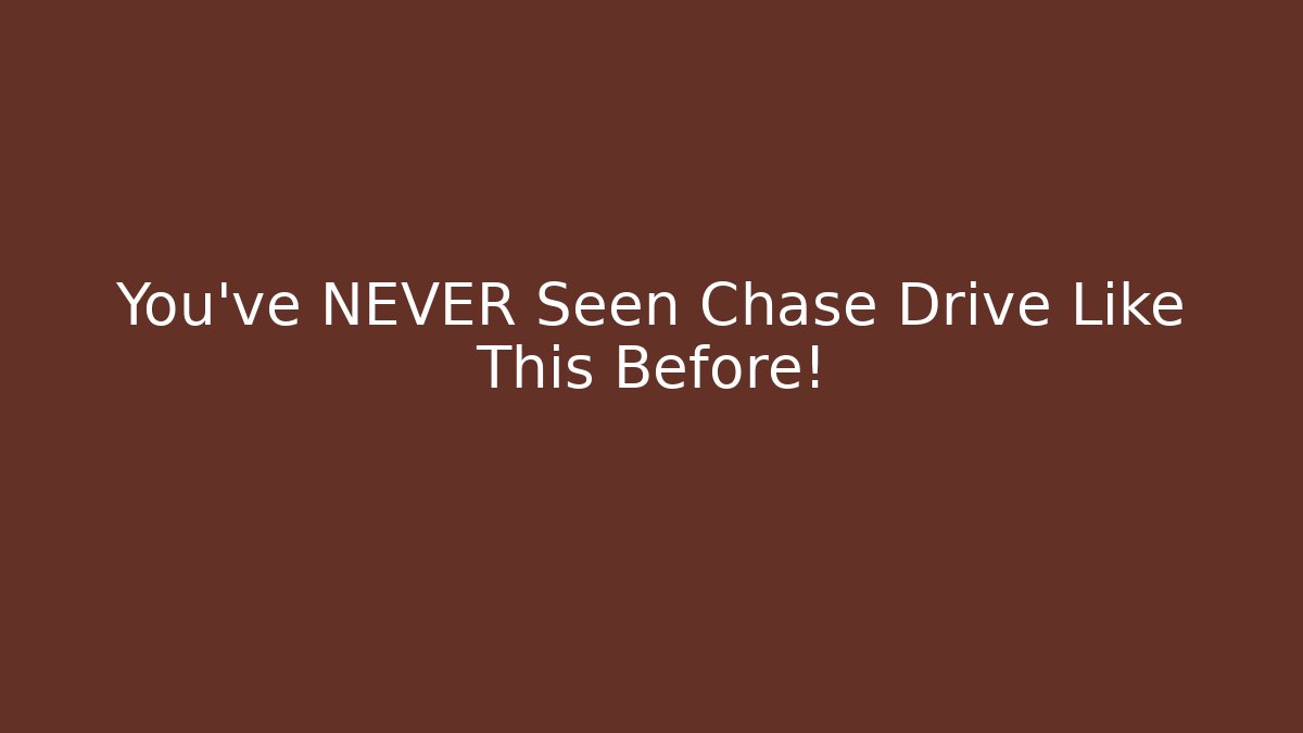 You've NEVER Seen Chase Drive Like This Before! - Felix Cat Insurance