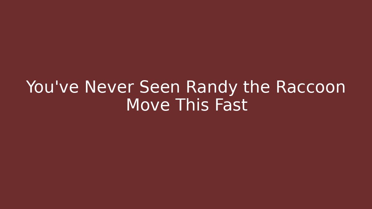 You've Never Seen Randy the Raccoon Move This Fast