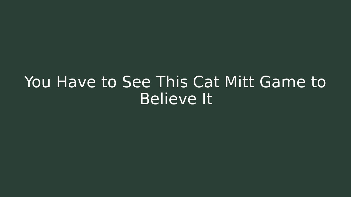 You Have to See This Cat Mitt Game to Believe It