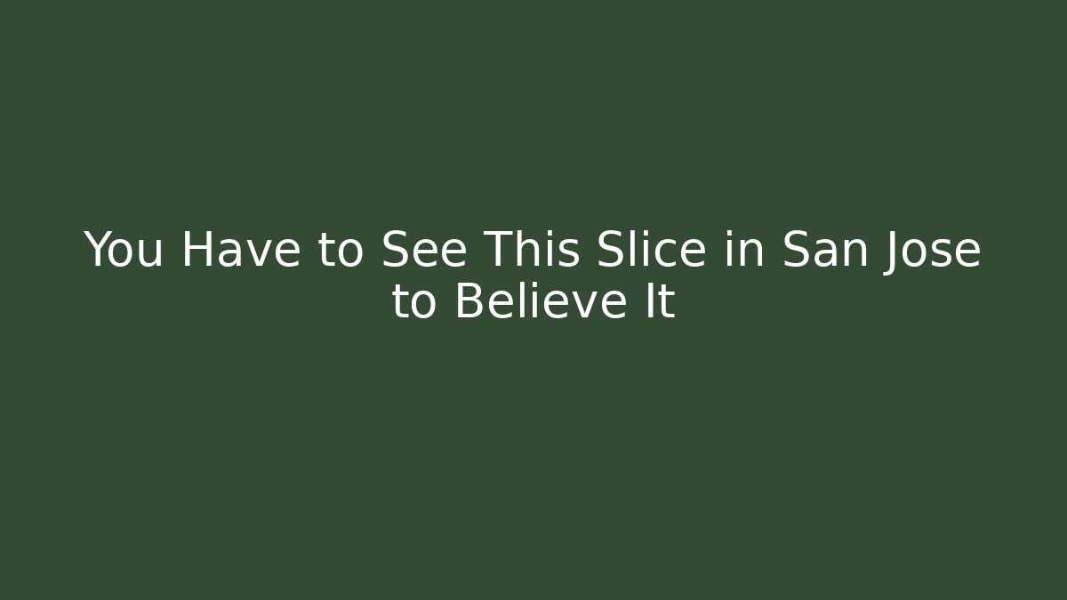 You Have to See This Slice in San Jose to Believe It - Felix Cat Insurance