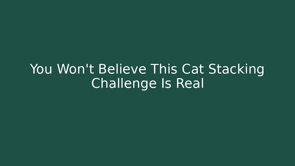 You Won't Believe This Cat Stacking Challenge Is Real