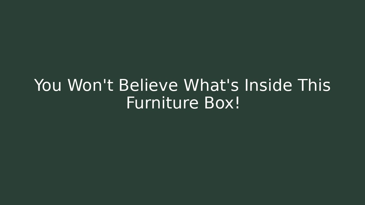 You Won't Believe What's Inside This Furniture Box!