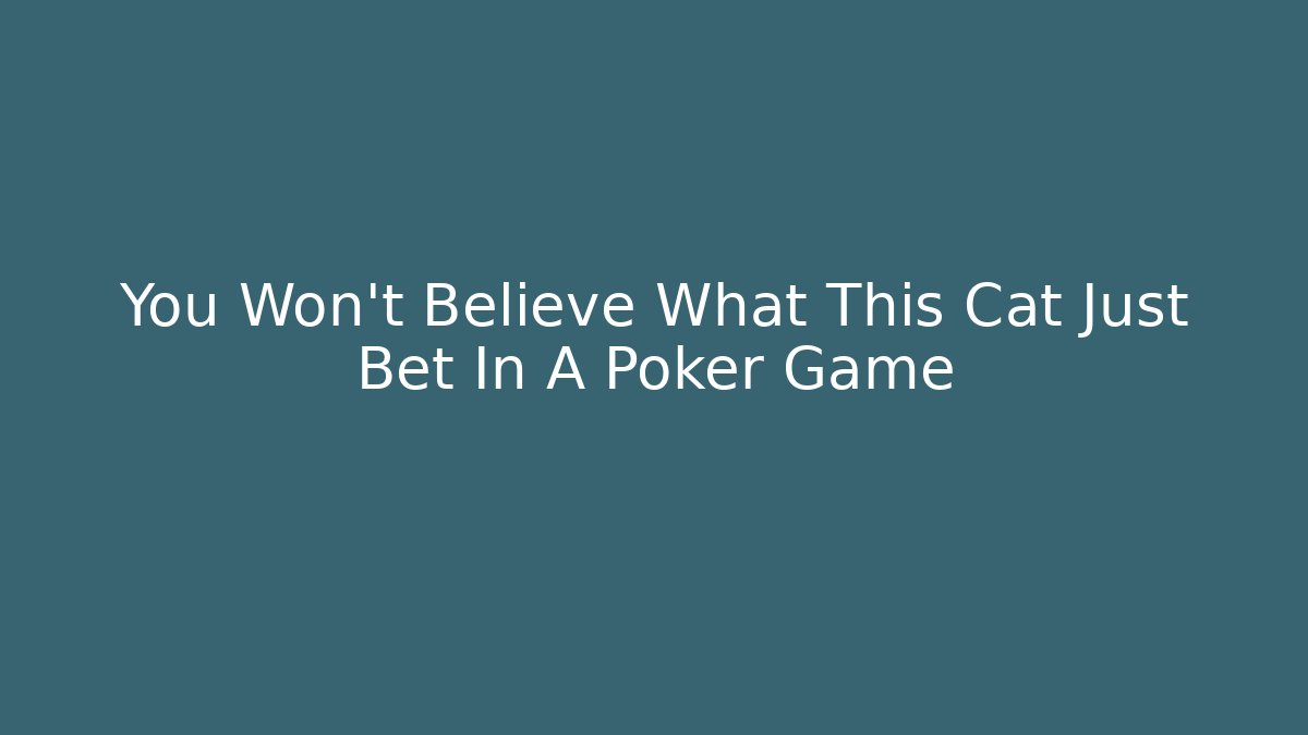 You Won't Believe What This Cat Just Bet In A Poker Game