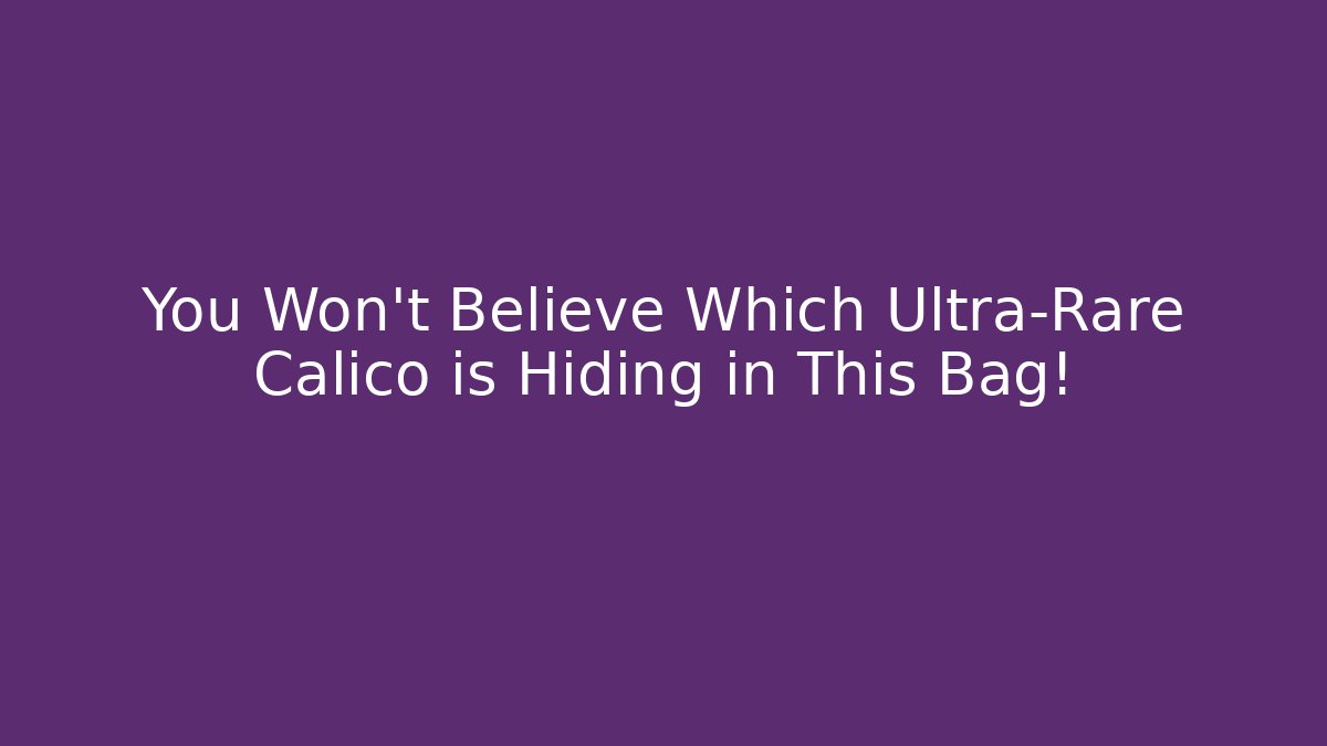 You Won't Believe Which Ultra-Rare Calico is Hiding in This Bag!