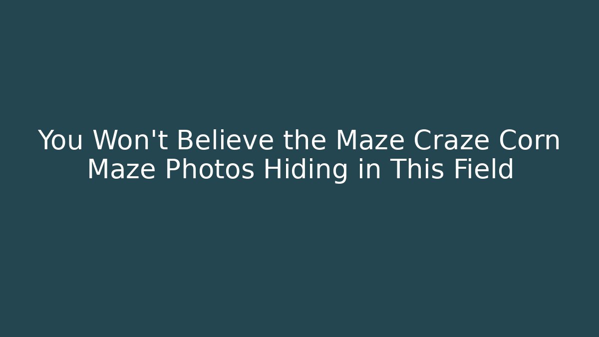 You Won't Believe the Maze Craze Corn Maze Photos Hiding in This Field
