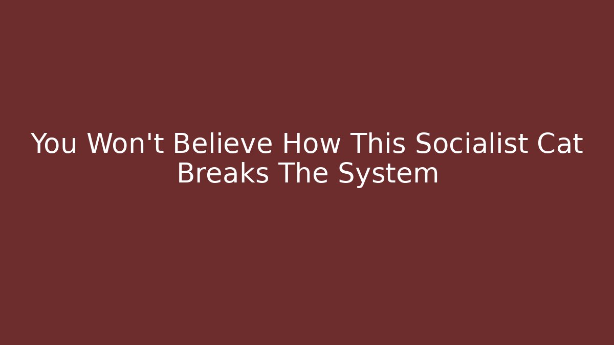 You Won’t Believe How This Socialist Cat Breaks The System