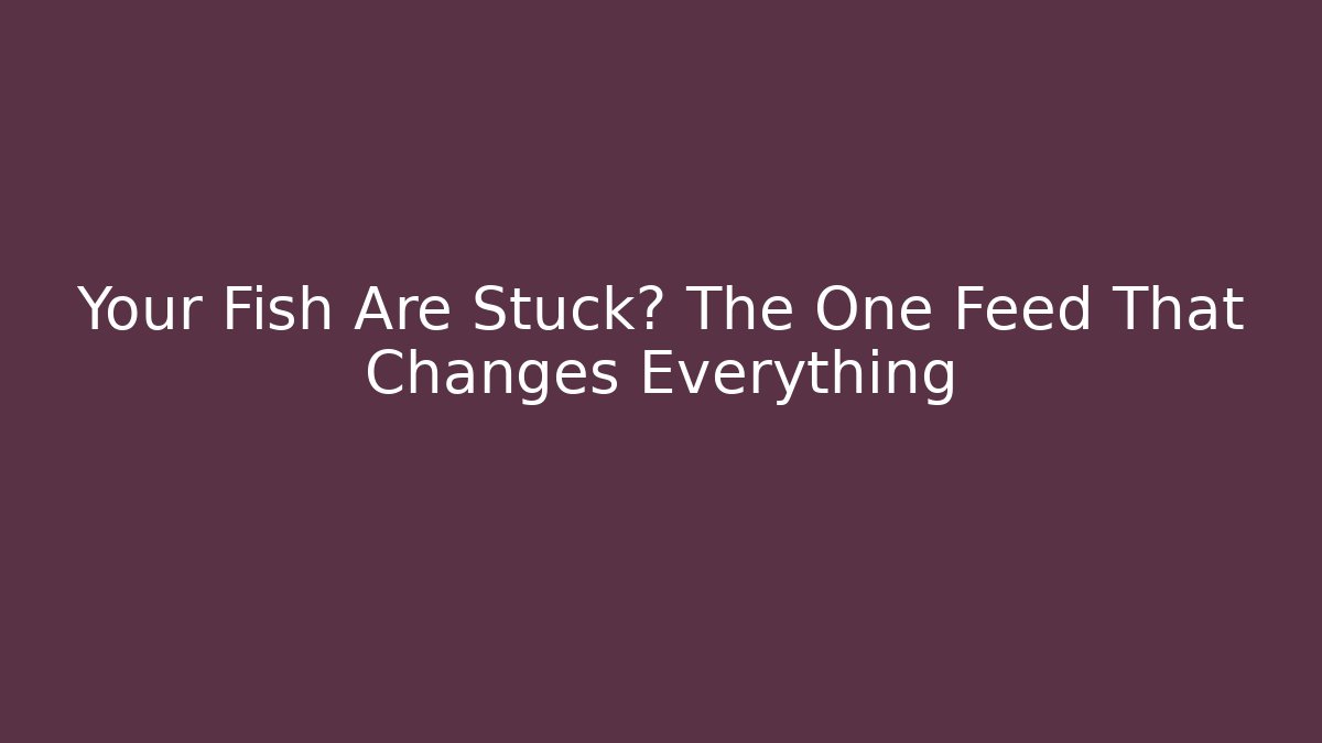 Your Fish Are Stuck? The One Feed That Changes Everything - Felix Cat Insurance