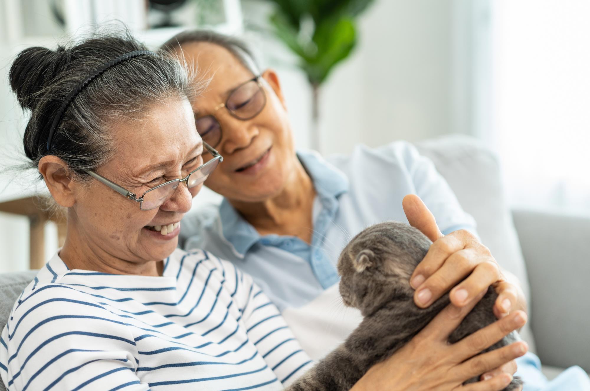 elderly pet parents with cat on couch