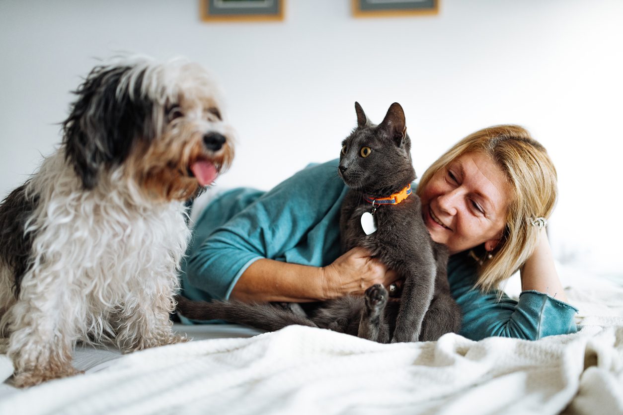 woman laying on bed with dog and cat