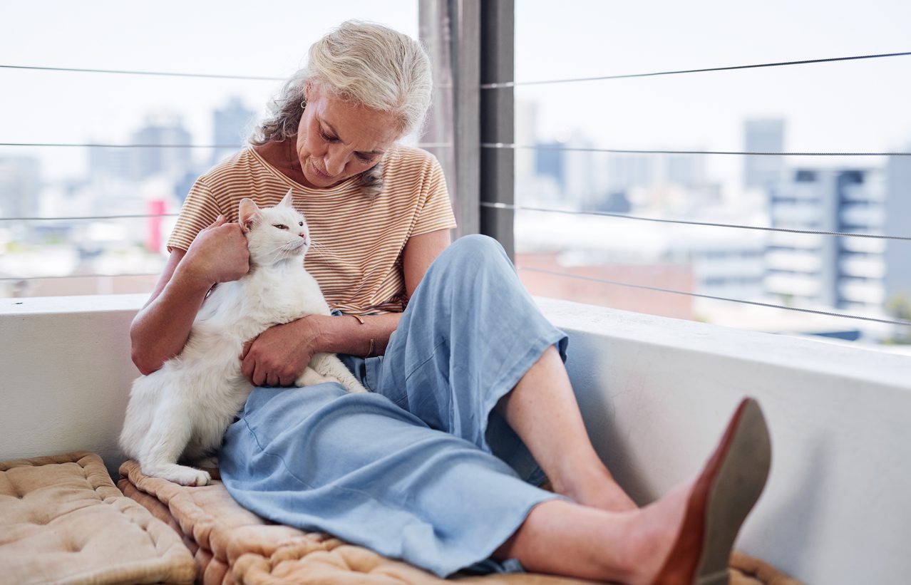 woman petting older white cat