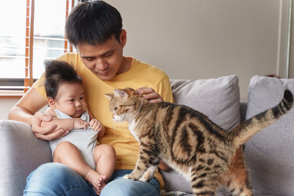 man and baby on couch petting cat
