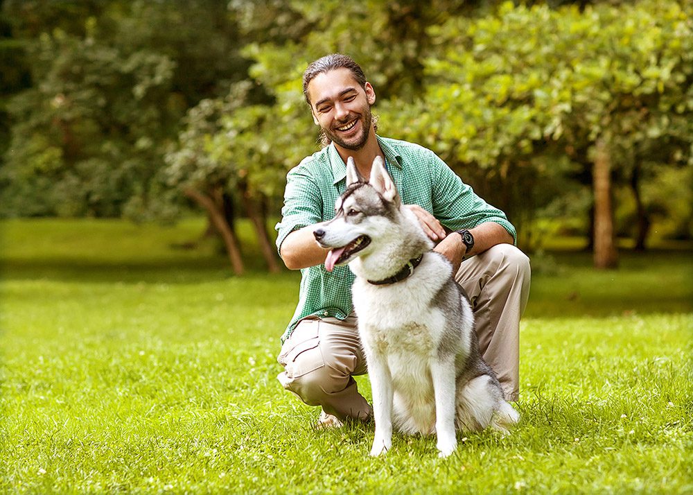 dog dad with husky on lawn